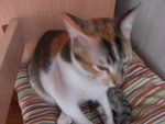 CIMG0285