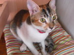 CIMG0286