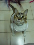 CIMG0386