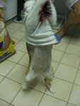 CIMG0390