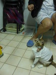 CIMG0391