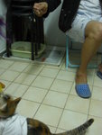 CIMG0392