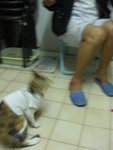 CIMG0393