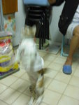 CIMG0396
