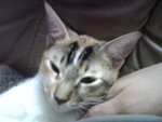 IMG00035