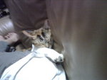 IMG00037