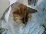 IMG00066