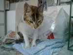 IMG00067