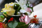 IMG_0005