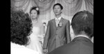 mengzi100244