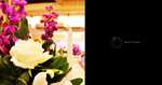 mengzi08110903