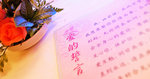 mengzi08110909