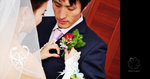 mengzi08112319