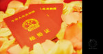 mengzi08112335
