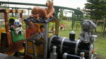 DSC06536