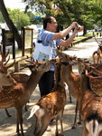 IMG-20180626-WA0067