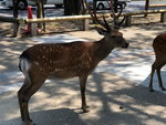 IMG-20180626-WA0070