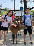 IMG-20180626-WA0072