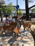 IMG-20180626-WA0074