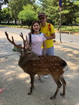IMG-20180626-WA0077