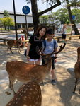 IMG-20180626-WA0082