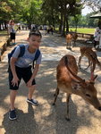 IMG-20180626-WA0085