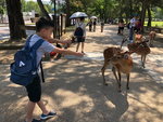 IMG-20180626-WA0086