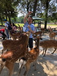 IMG-20180626-WA0087