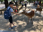 IMG-20180626-WA0088