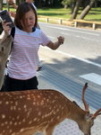 IMG-20180626-WA0091