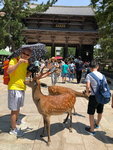 IMG-20180626-WA0116