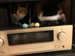 IMG-20180906-WA0015