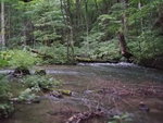 IMG-20180907-WA0035