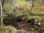 IMG_20231017_101708_BURST10