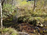 IMG_20231017_101708_BURST5