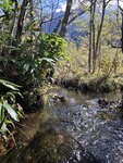 IMG_20231017_101807