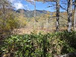 IMG_20231017_101828