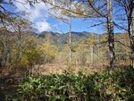 IMG_20231017_101831