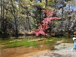 IMG_20231017_102852