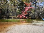 IMG_20231017_102856