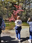 IMG_20231017_103053