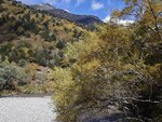 IMG_20231017_111130