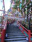 IMG_20241106_151137
