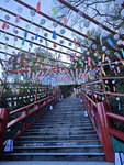 IMG_20241106_151148