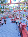 IMG_20241106_151253