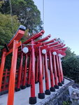 IMG_20241106_151809