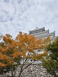IMG_20241109_104341