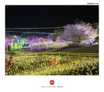 MVIMG_20250322_185706