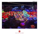 MVIMG_20250322_193715