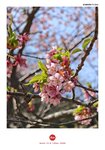 IMG_20250323_101733